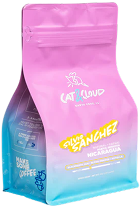Cat & Cloud: Silvio Sanchez
